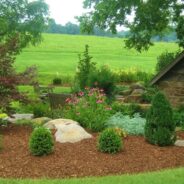 Much Ado About Mulch