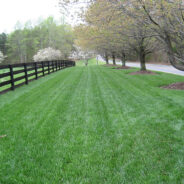 Build a Great Sod Base with our Garden Soil