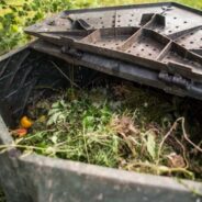 Compost: Ready-Made or DIY?